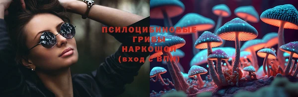 spice Алексеевка