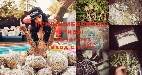 кокс Алзамай