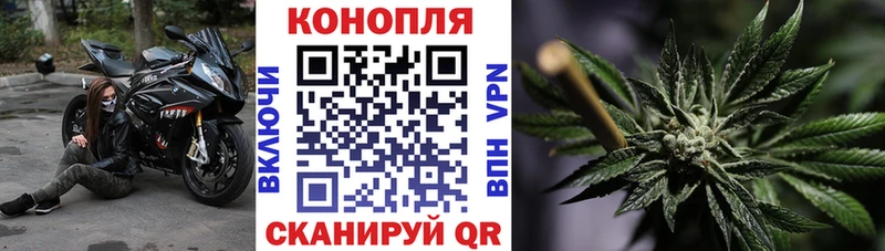 хочу наркоту  Киржач  Конопля Amnesia 